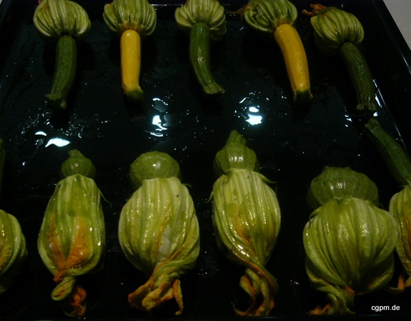 Zucchini-Blüten gefüllt